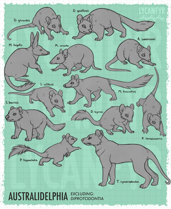 Sketch Page Sketch Page
